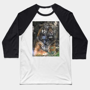 Sumatran Tiger Baseball T-Shirt